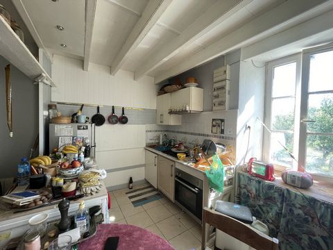 photo no. 2