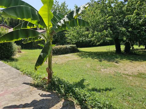 photo no. 12
