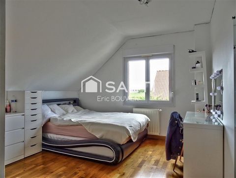 photo no. 11