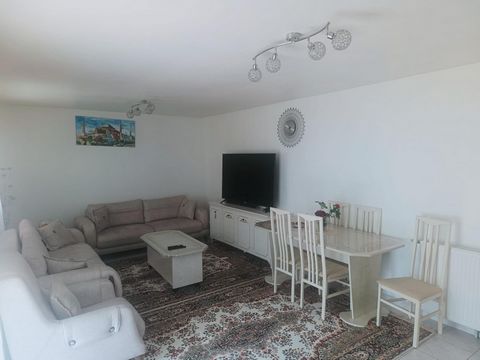 photo no. 6
