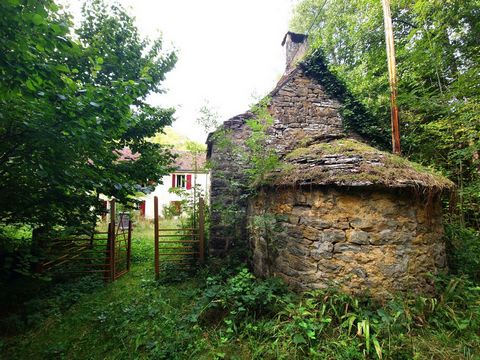 photo no. 12