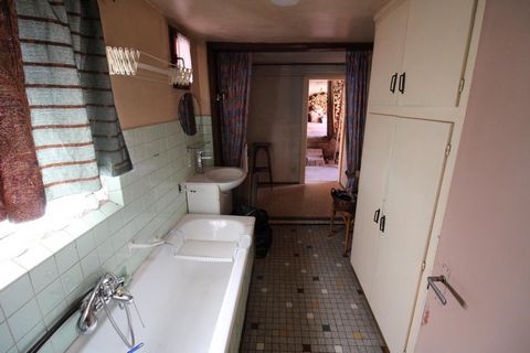 photo no. 6