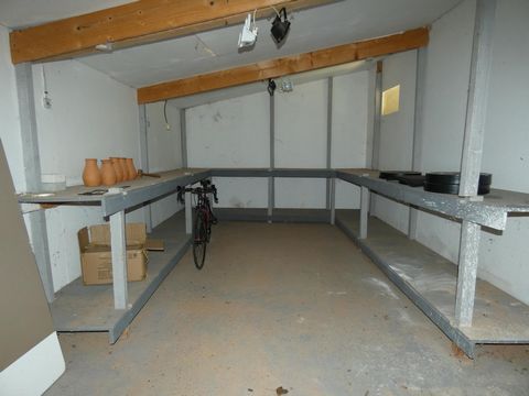 photo no. 12