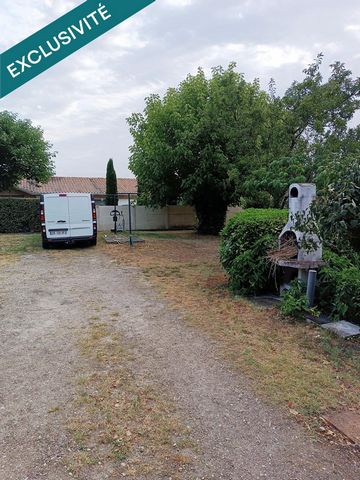 photo no. 2
