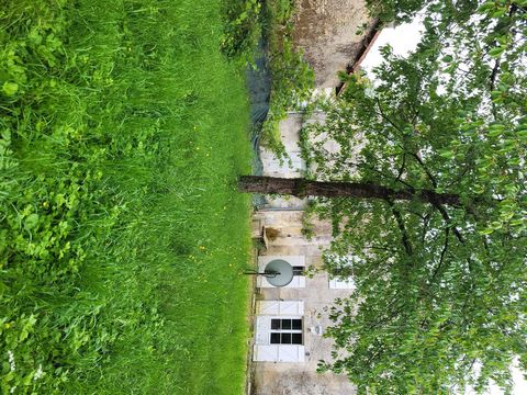 photo no. 14