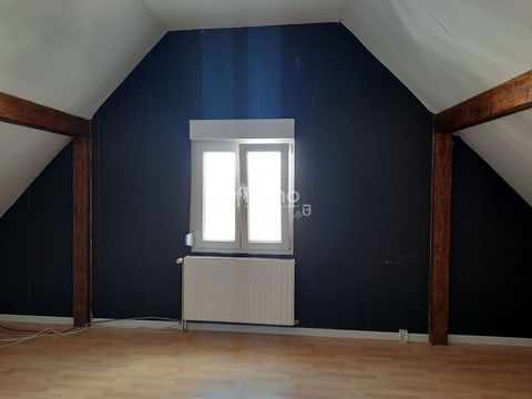 photo no. 5