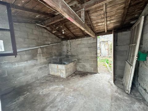 photo no. 7