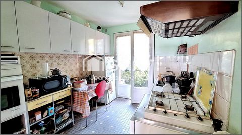 photo no. 8