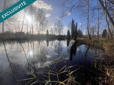 photo no. 13