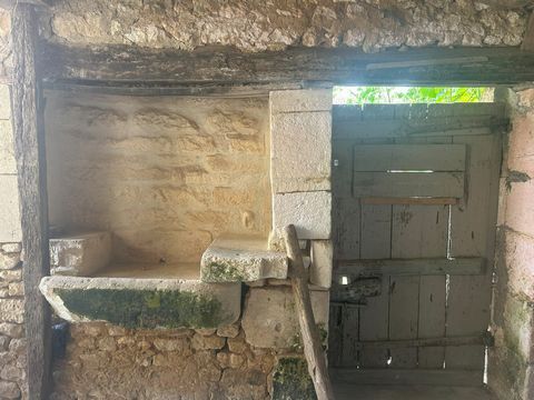 photo no. 19