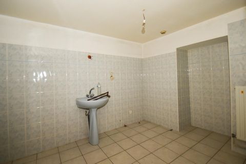 photo no. 10