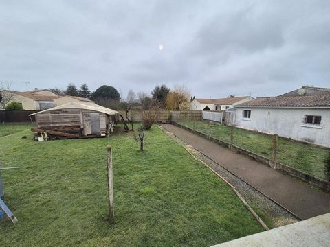photo no. 8