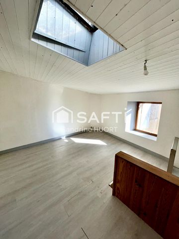 photo no. 8