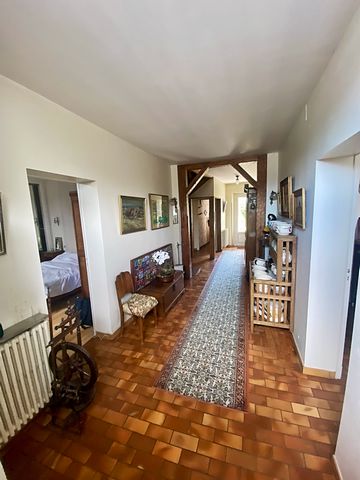 photo no. 4