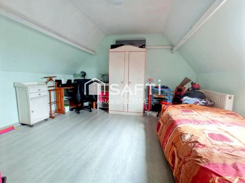 photo no. 6