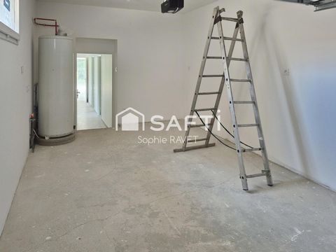photo no. 9