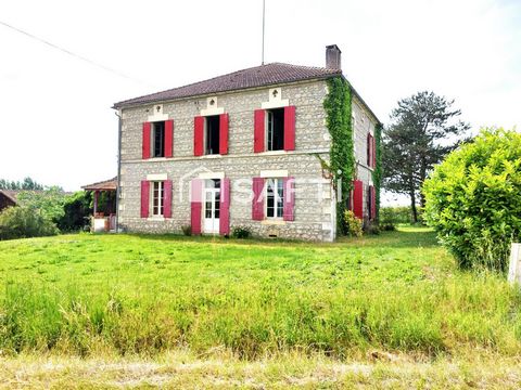 photo no. 11