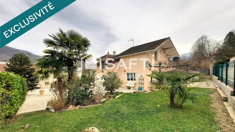 photo no. 16