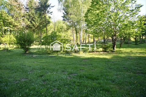 photo no. 15