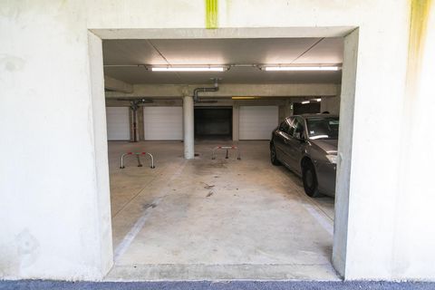 photo no. 9