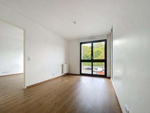 photo no. 6