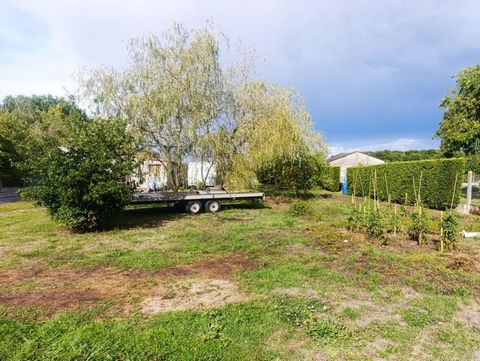 photo no. 9