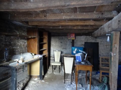 photo no. 7