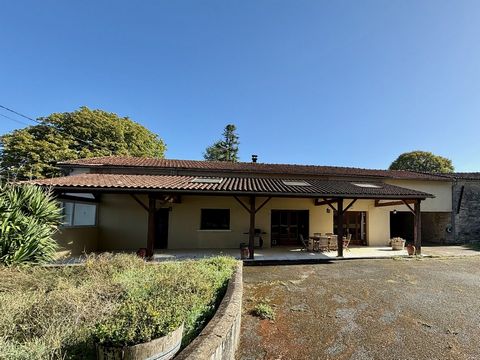 photo no. 18