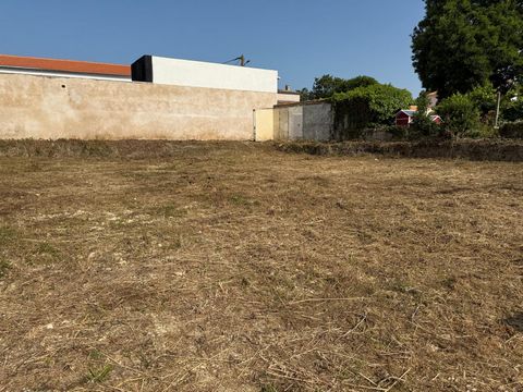photo no. 1