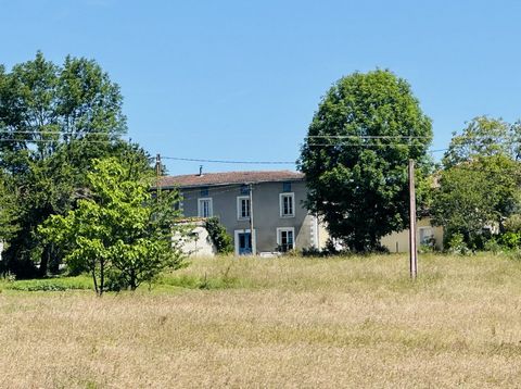 photo no. 2