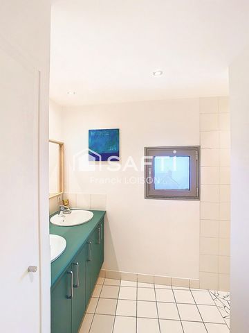 photo no. 12