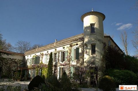 photo no. 12