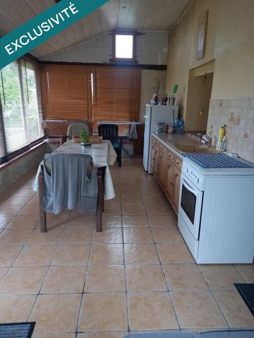 photo no. 13