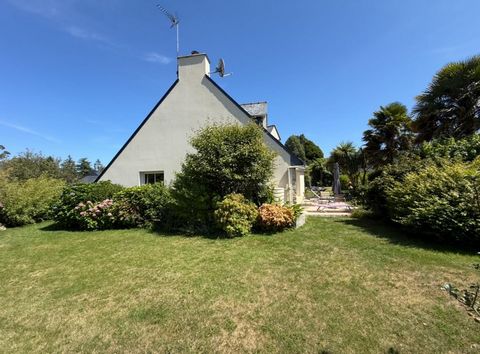 photo no. 13