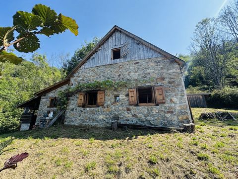 photo no. 3