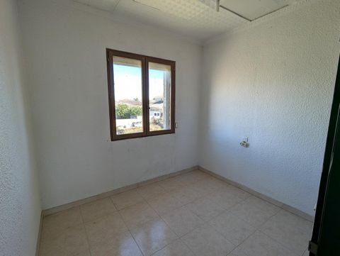 photo no. 12