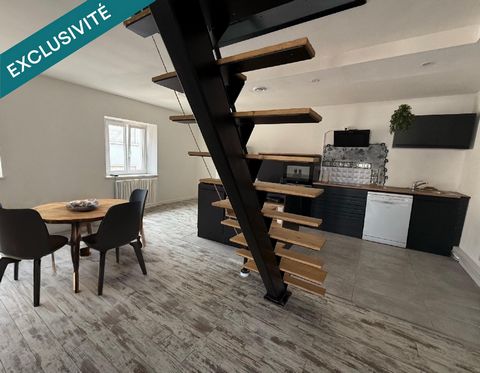 Magnifique Duplex
