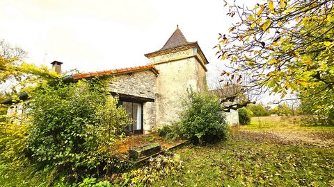 photo no. 3