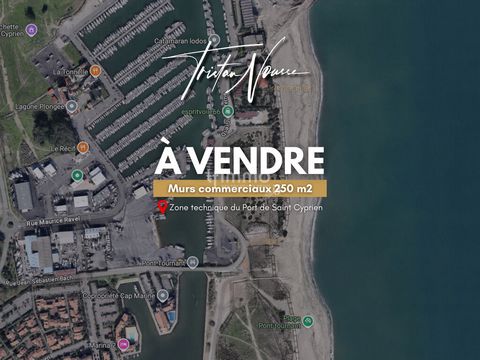 Murs commerciaux - 250 m2 - Saint Cyprien Zone technique du Port