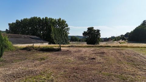 photo no. 2