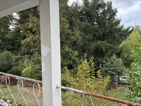 photo no. 14