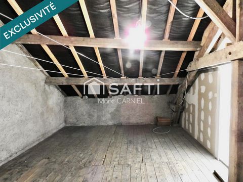 photo no. 11