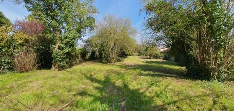Terrain constructible à Luçon