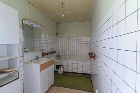 photo no. 6