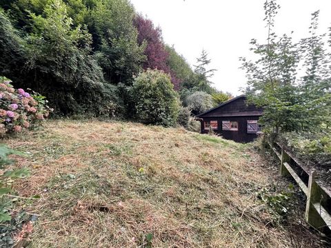 photo no. 10