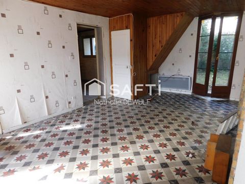 photo no. 10