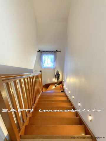 photo no. 11