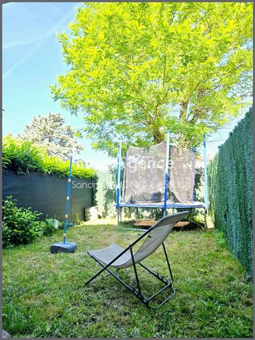 photo no. 9