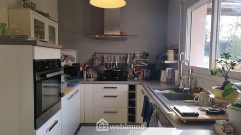 photo no. 15