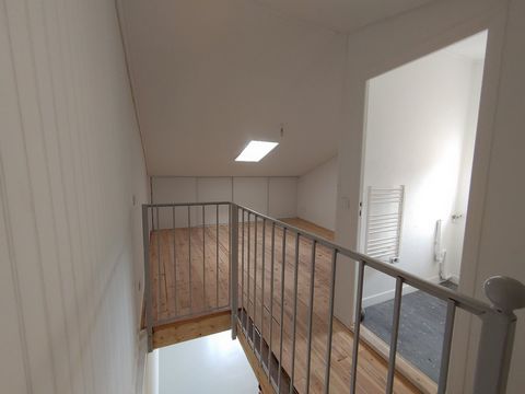 photo no. 7